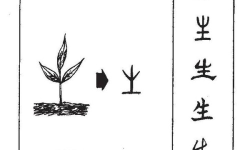 各种心动过速的区别网 - 为你提供心动过速定义、几种心动过速区别